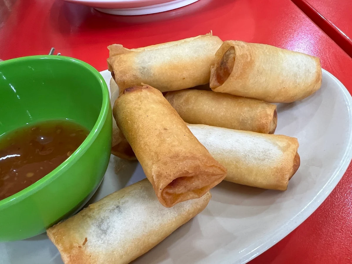 Vegetarian Spring Rolls