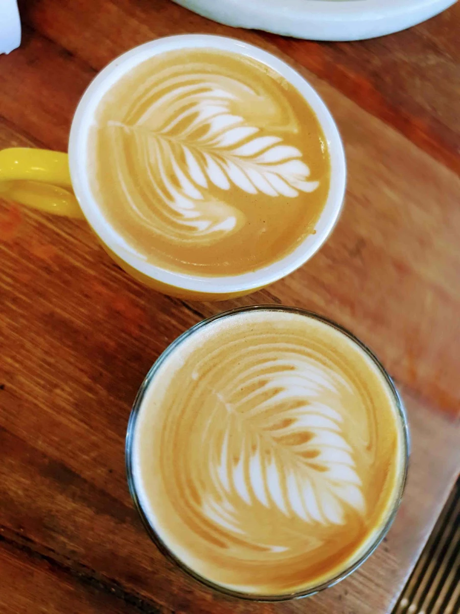 Flat White, TJ Coffee House Parkdale
