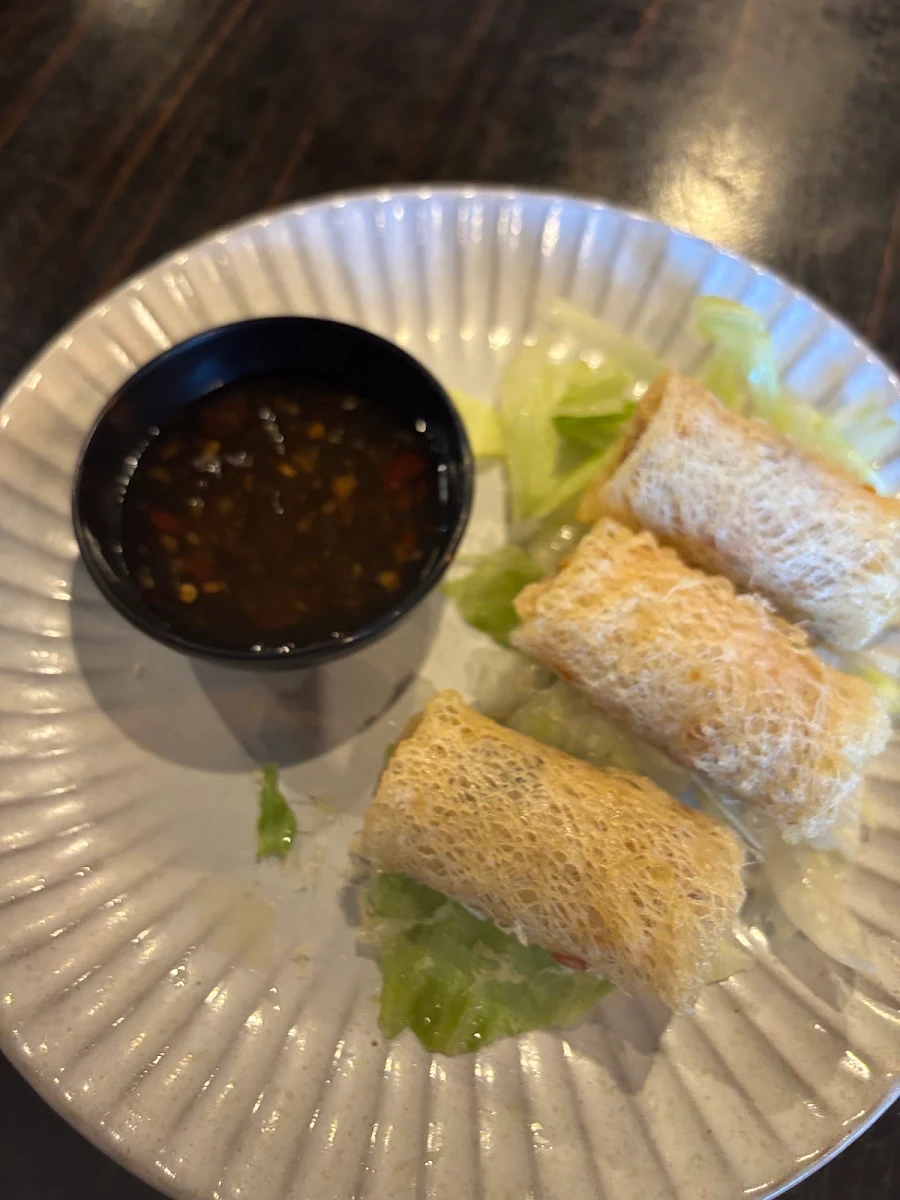 Vegan Netted Spring Rolls (V)