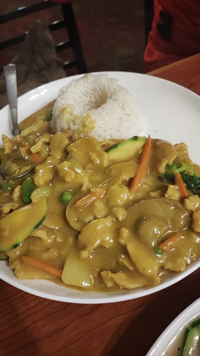 Curry Chicken Rice