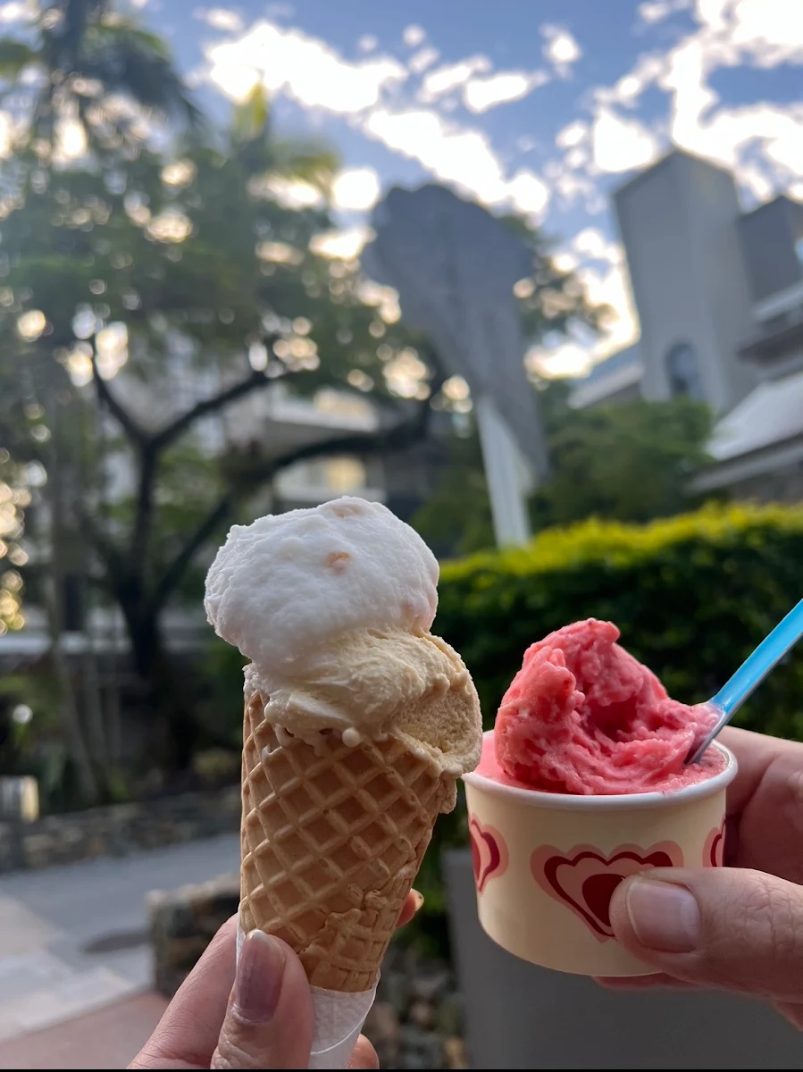 Highlights, Massimo's Gelateria