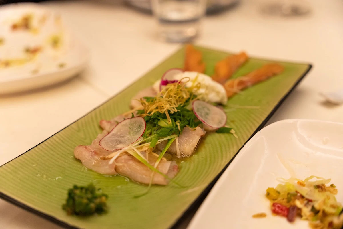 Hamachi Kingfish, Creative Galleries