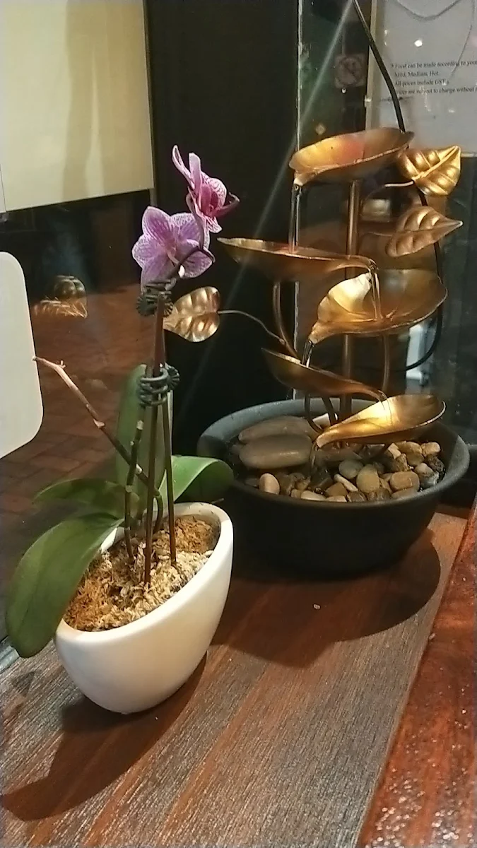 Highlights, Sook Sabai