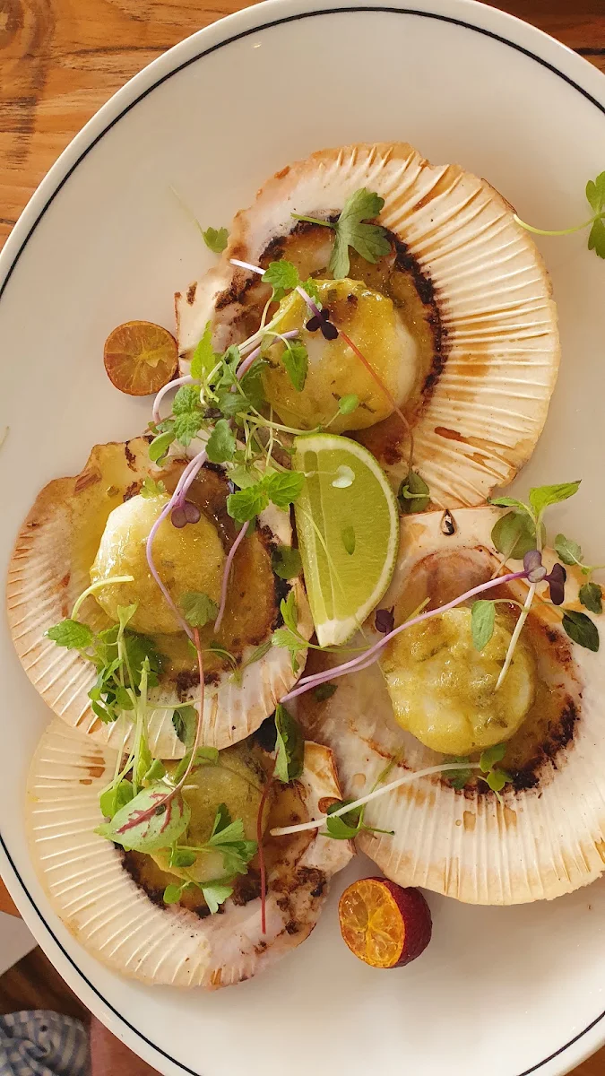 Scalops, Dunes Palm Beach