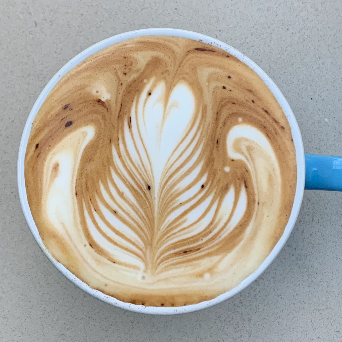 Highlights, Koffee Kult Forest Hill Chase