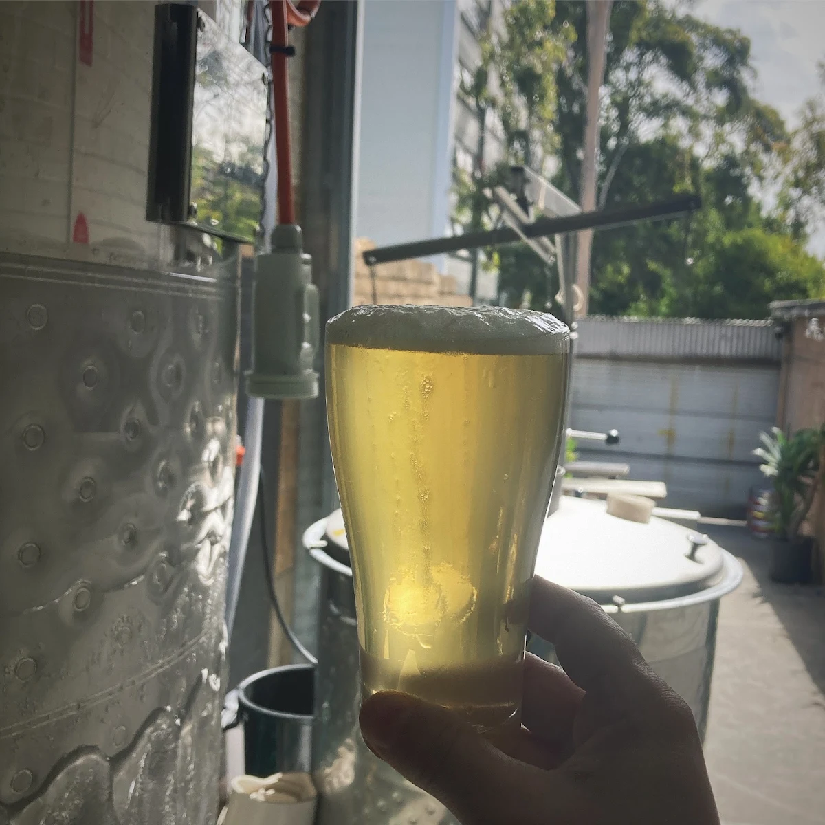 Highlights, Twang Brewing