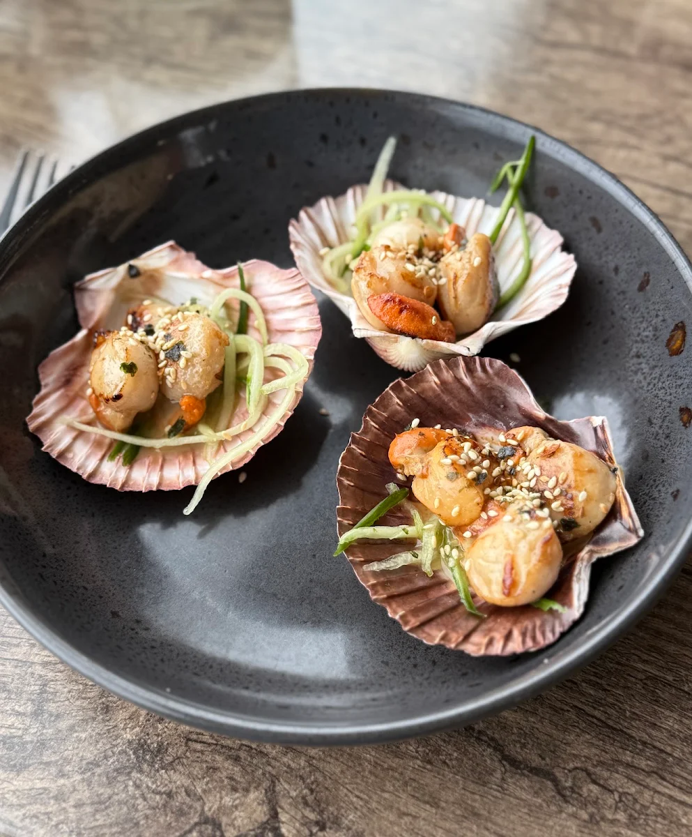 Scallop, The Wharf Bar & Kitchen
