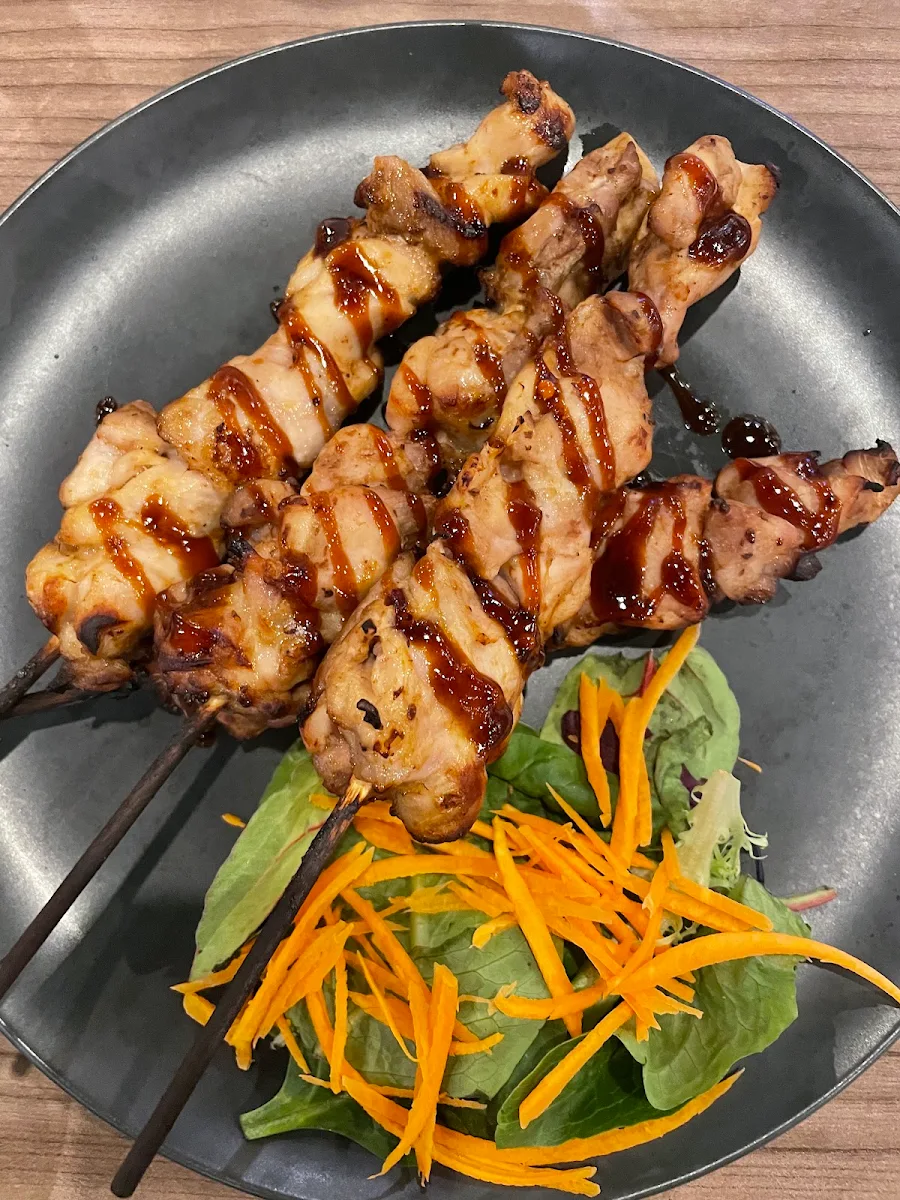 Teriyaki Chicken Schewers