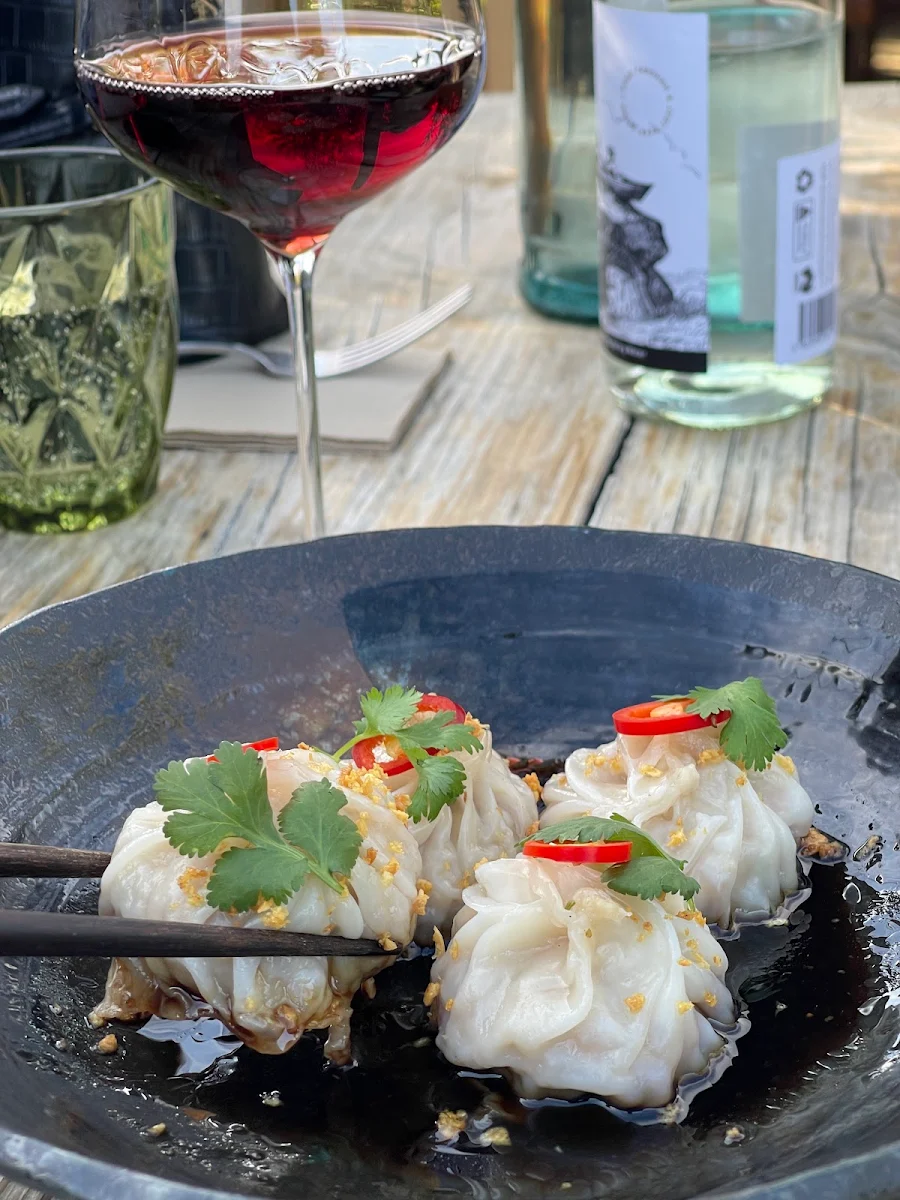 Chicken Dumplings