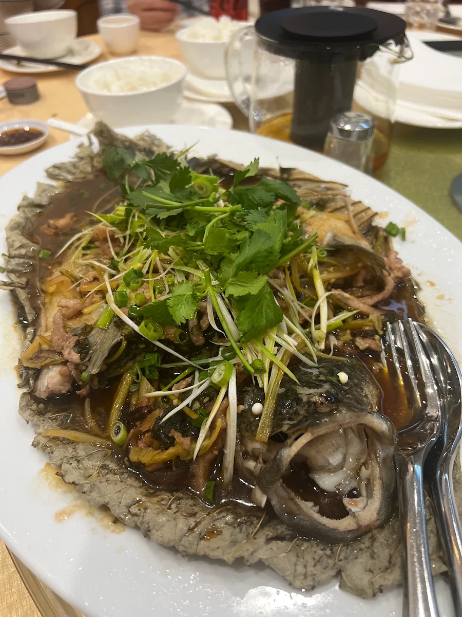 Steam Fish, Swatow Cafe 汕頭小館