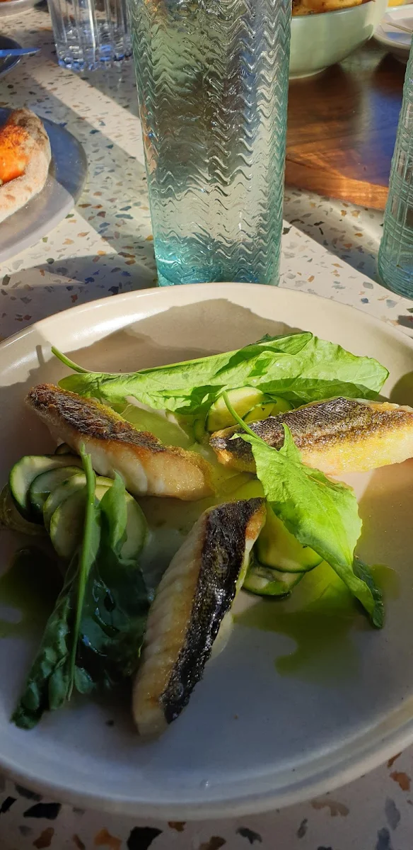 Barramundi