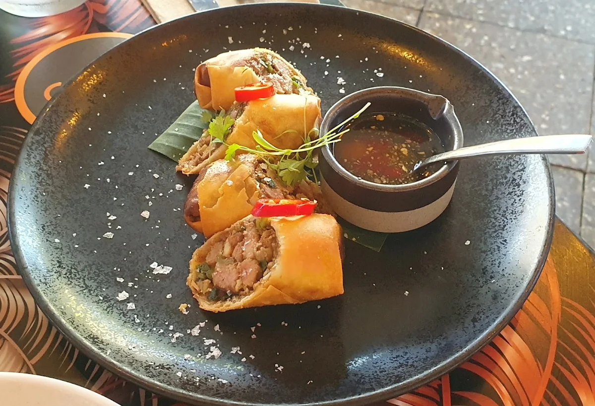 Duck Spring Rolls