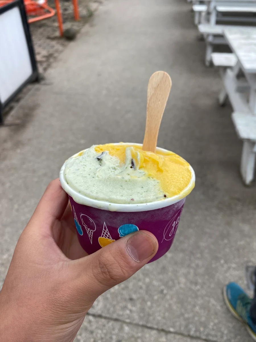 Highlights, Gelato Gelato