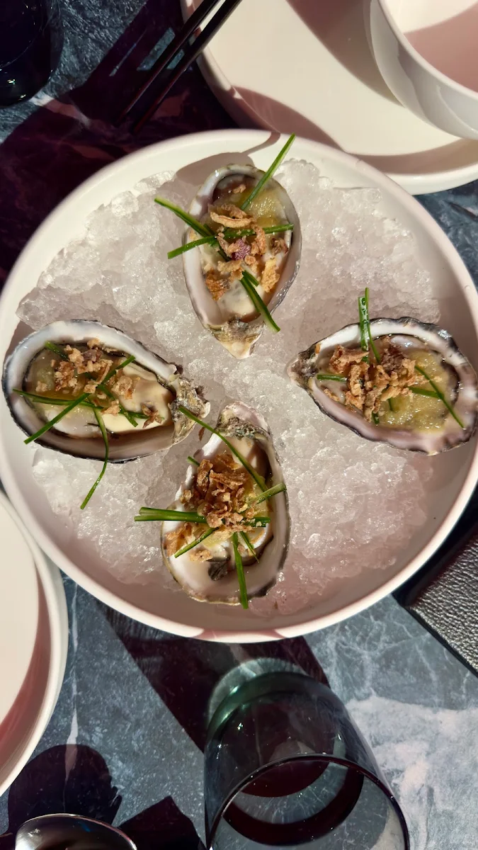 Oysters