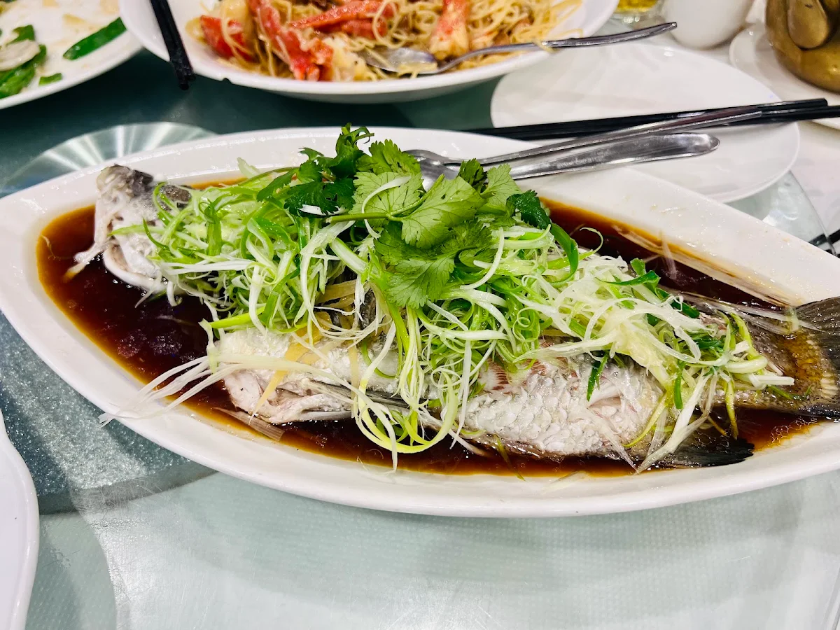 Steamed Fish, The Lucky Chinese Restaurant