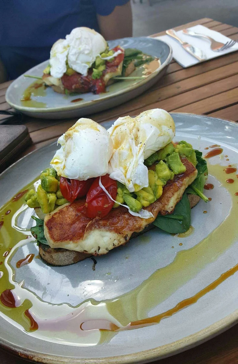 Halloumi Stack, Terrarium