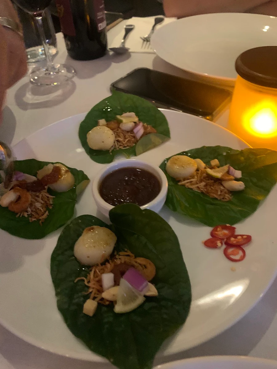 Sea Scallops