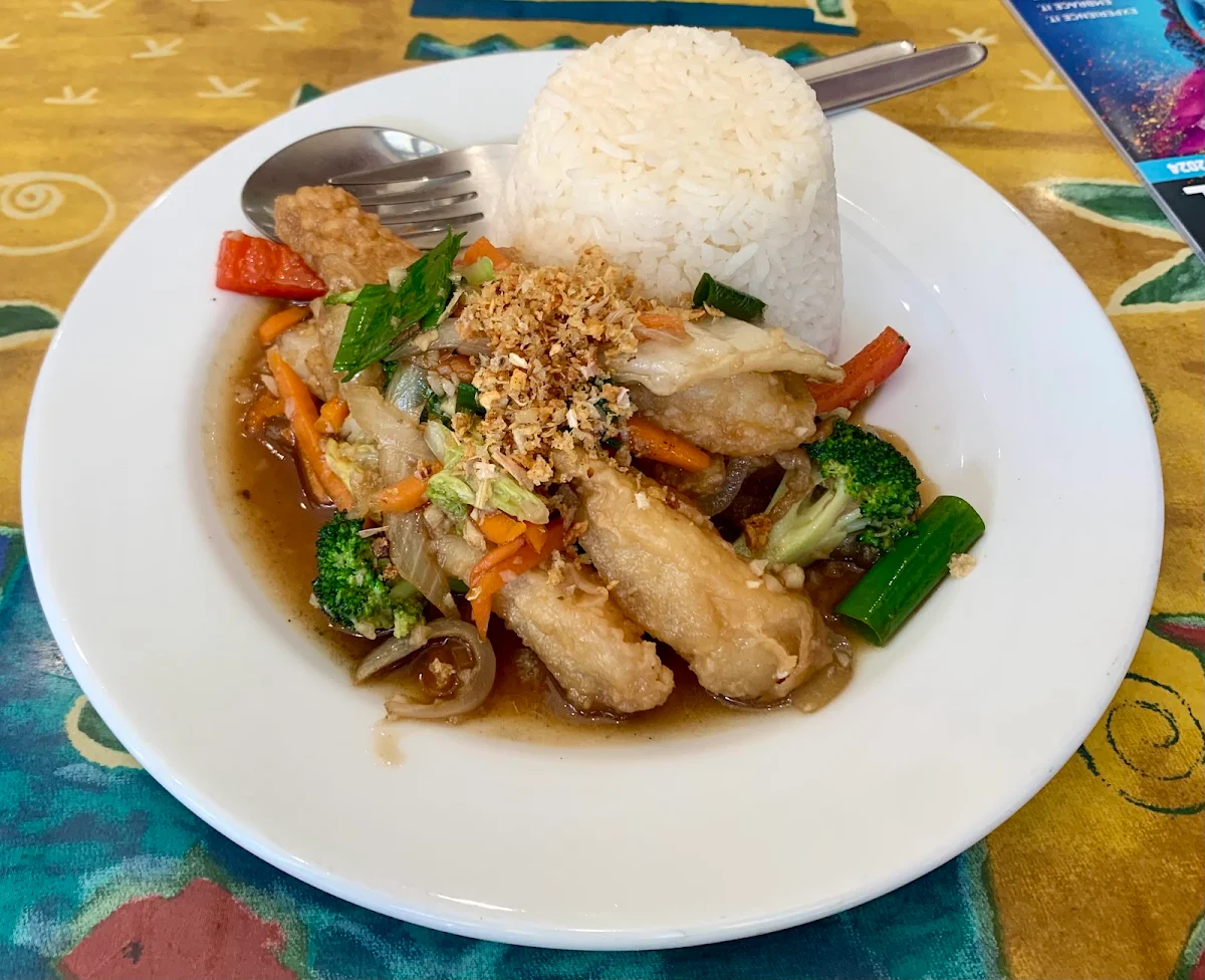 Highlights, Thai Volunteer