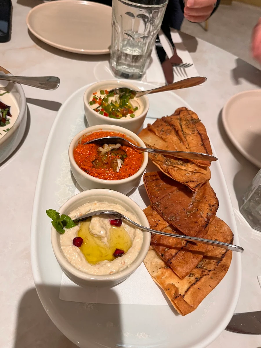 Highlights, Al Aseel Chatswood