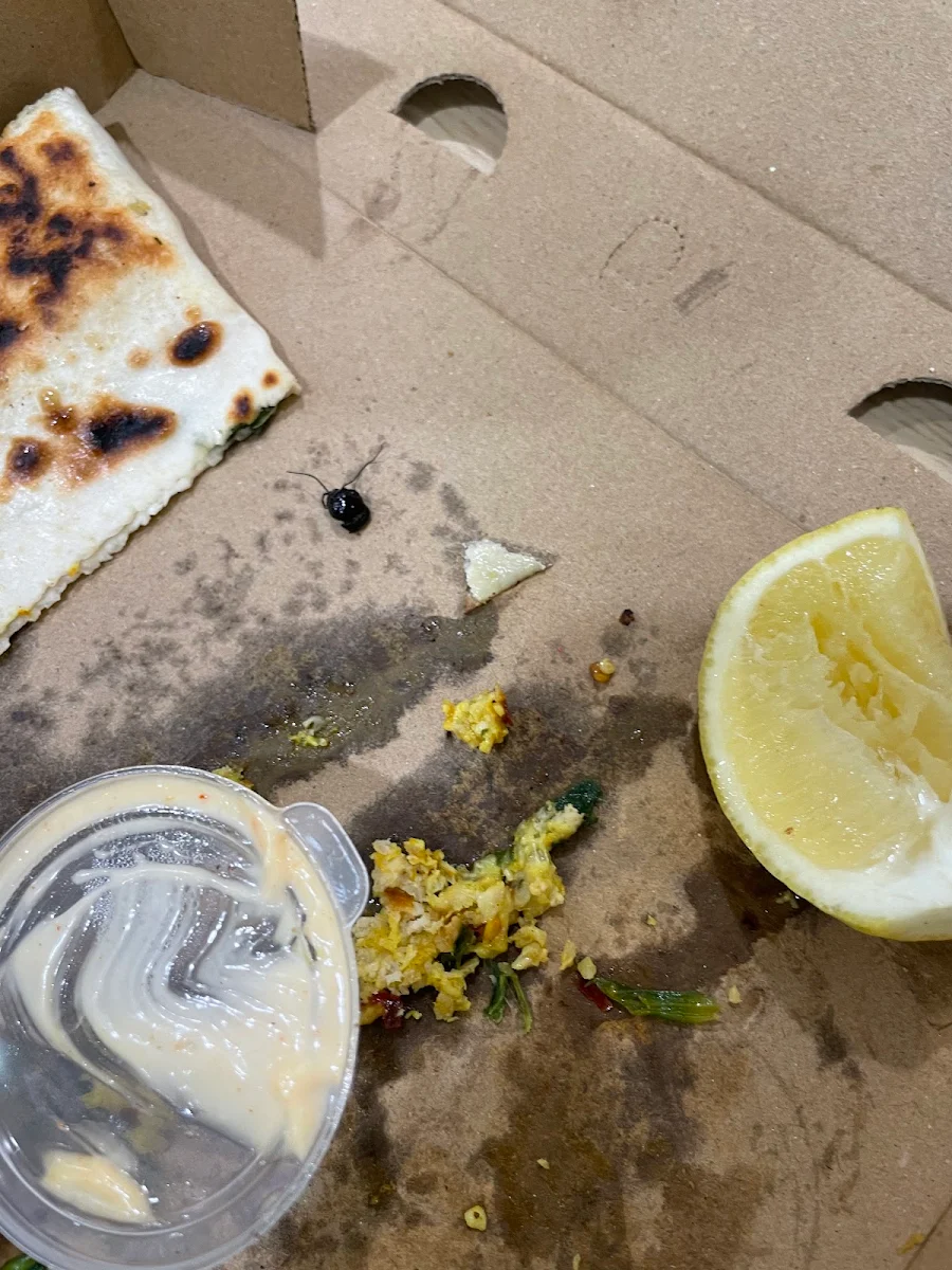 Highlights, Turkish Gozleme Bakery