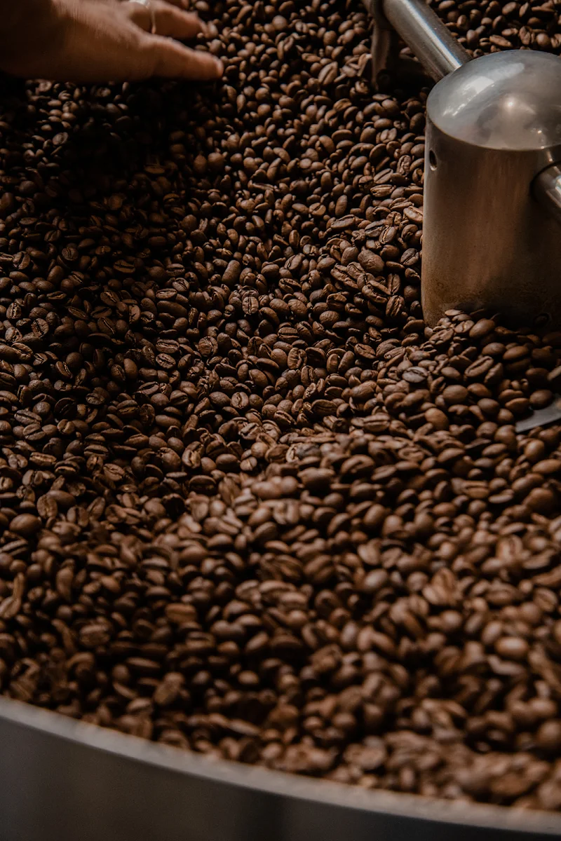 Highlights, Noosa Coffee Roastery Noosaville