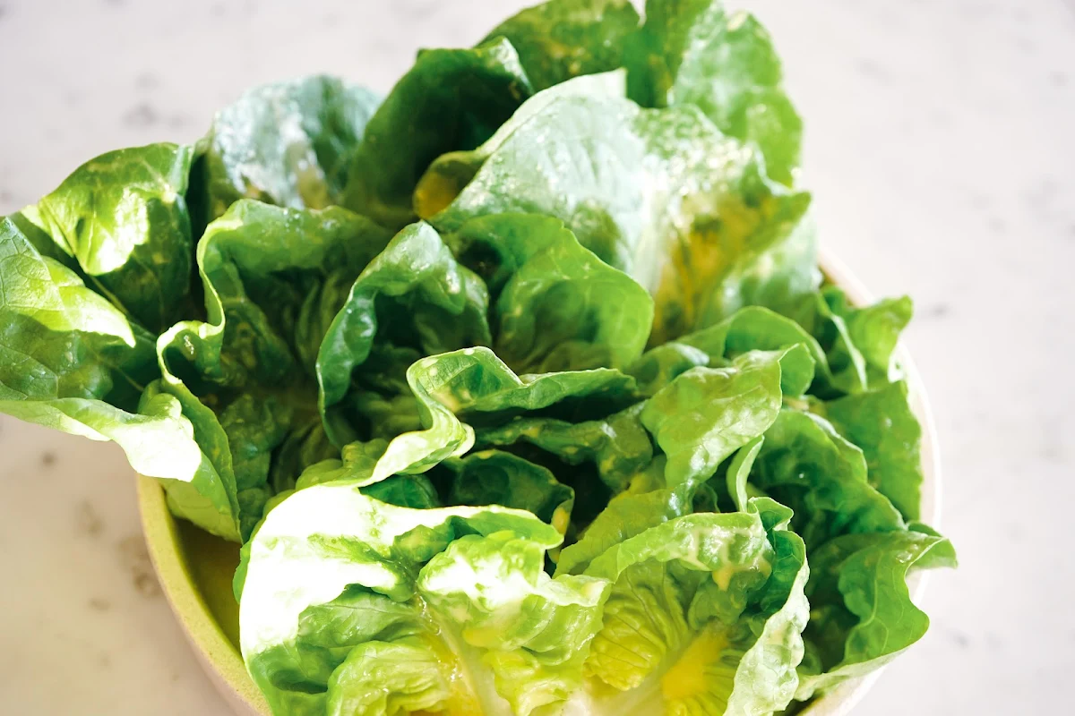 Butterleaf Salad with Preserved Lemon Vinaigrette