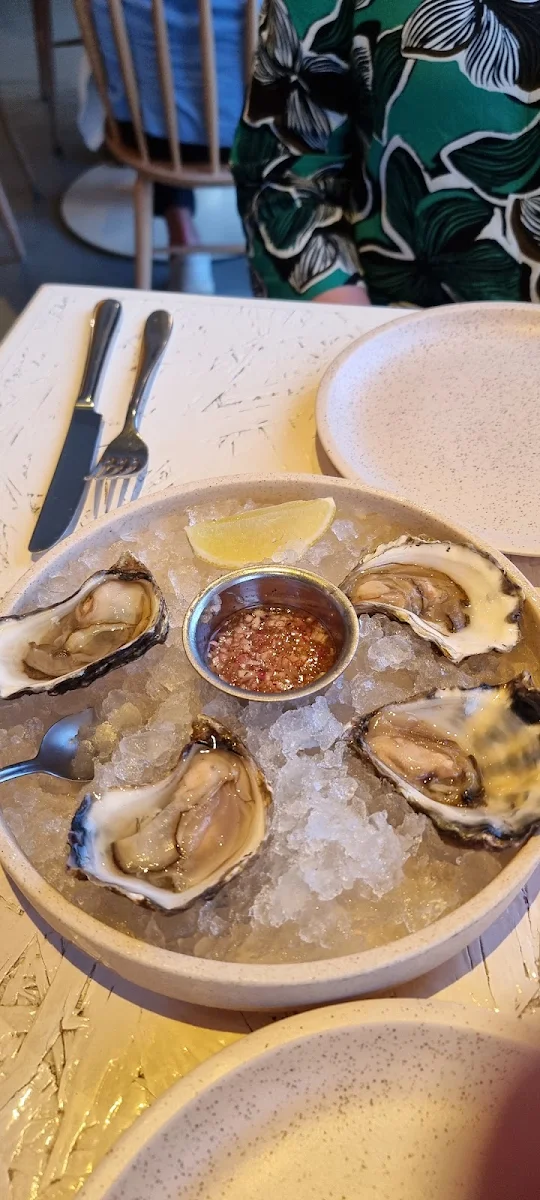 Oysters