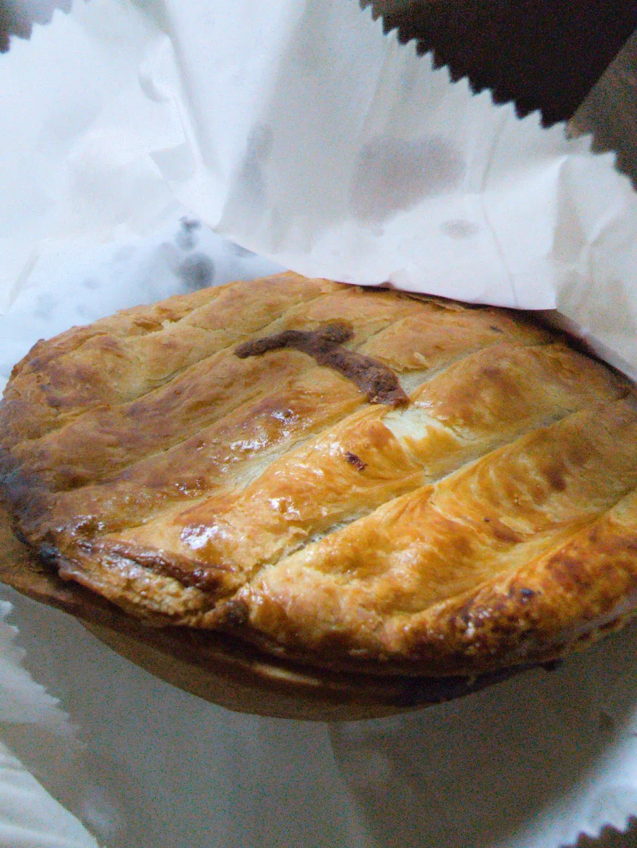 Beef Onion and Cheese Pie