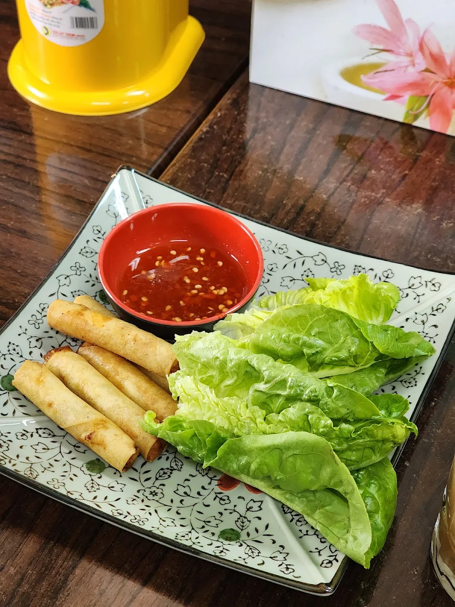 Spring Roll, Kitchen 8 Hastings