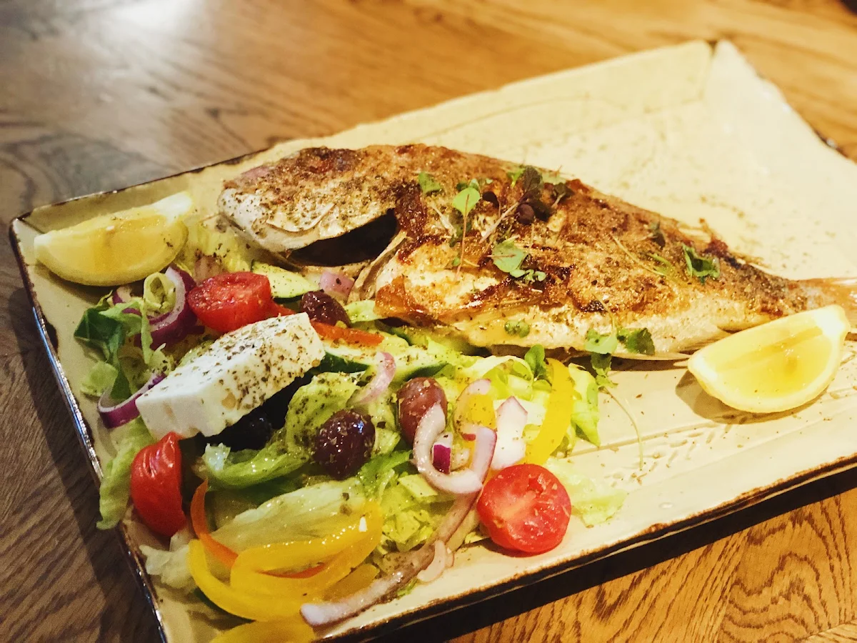 Snapper, Vanilla Lounge