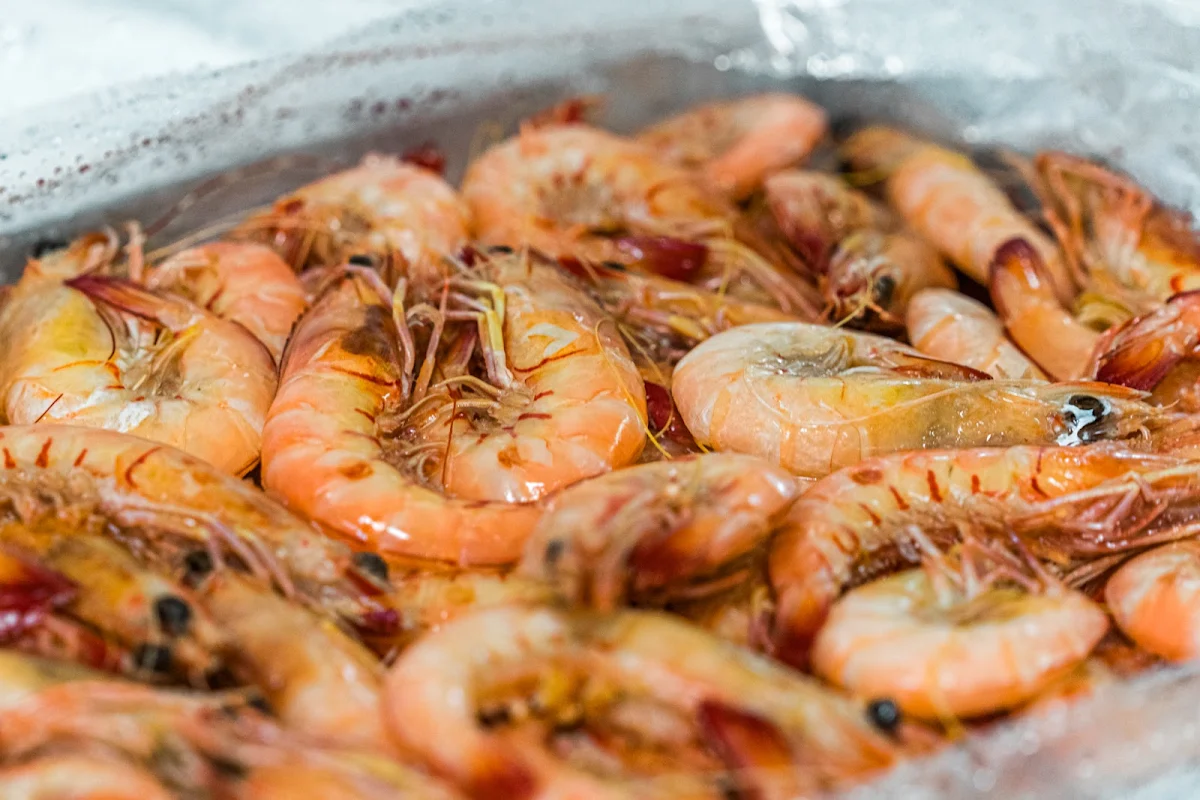 Highlights, Innisfail Seafood