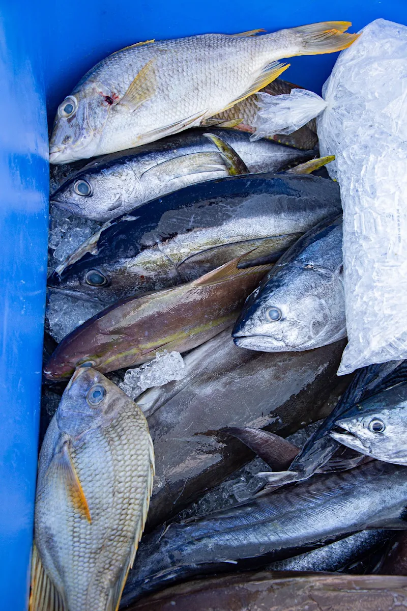 Highlights, Innisfail Seafood