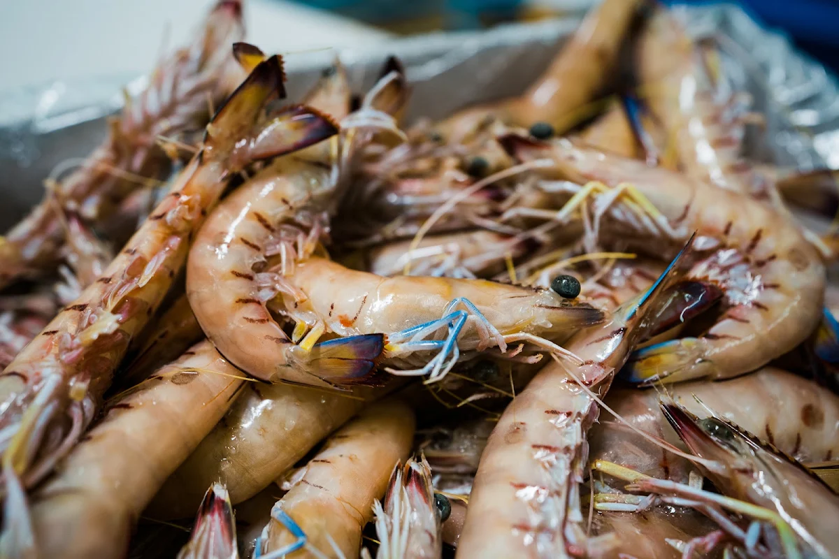 Highlights, Innisfail Seafood