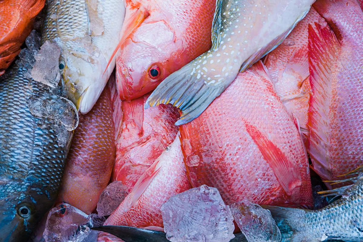 Highlights, Innisfail Seafood