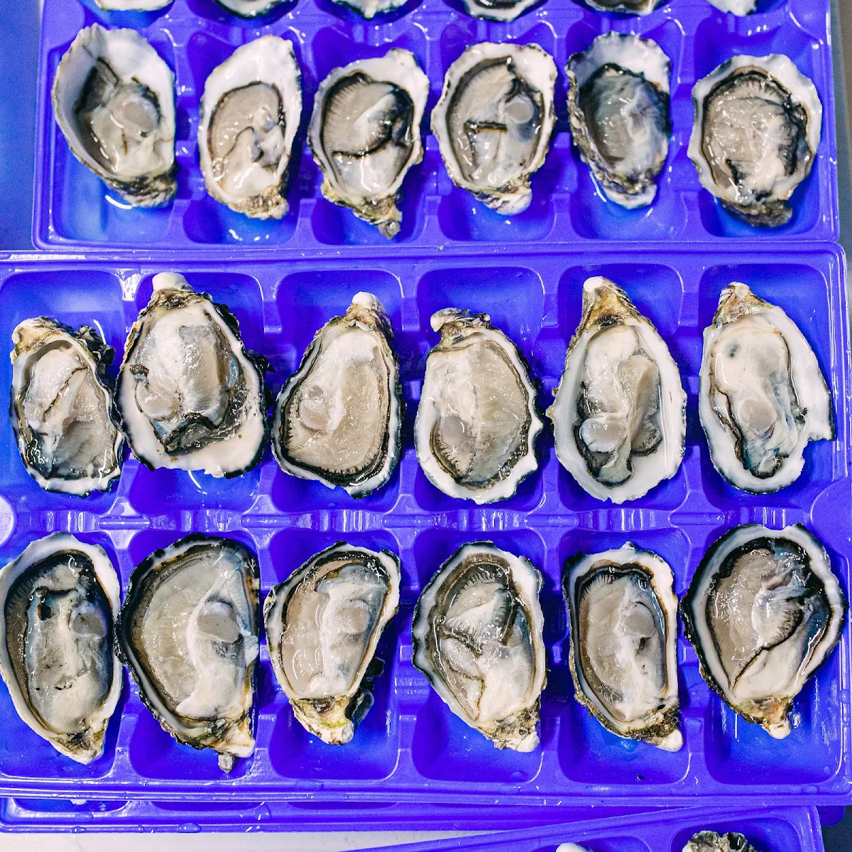 Highlights, Innisfail Seafood