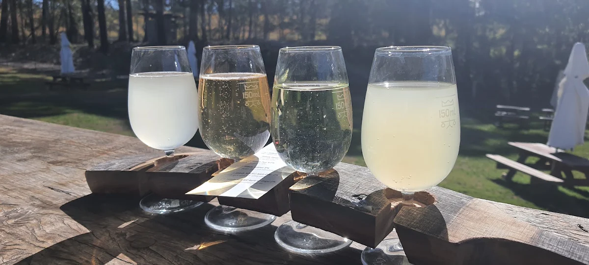 Cider Tasting, Hillbilly Cider Shed