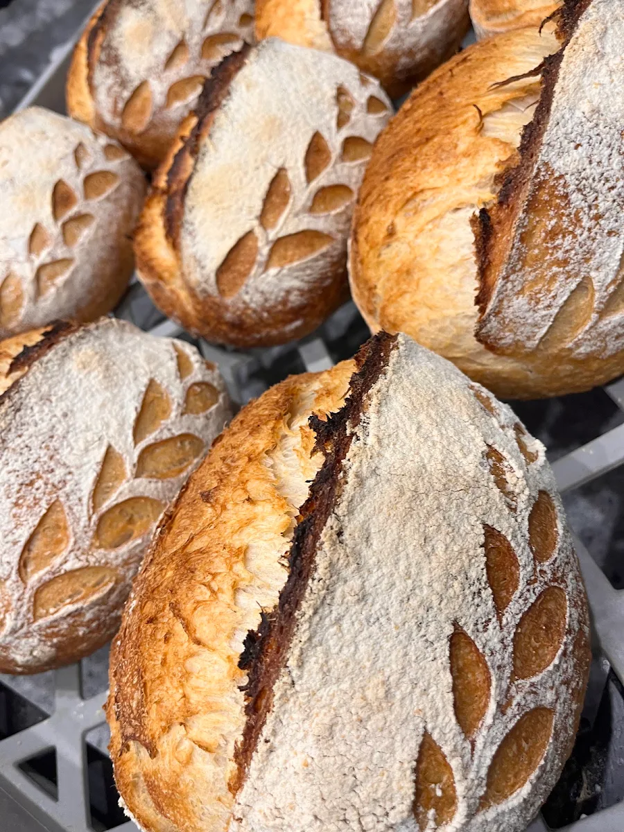 Highlights, Ottimo Bakery Pty Ltd