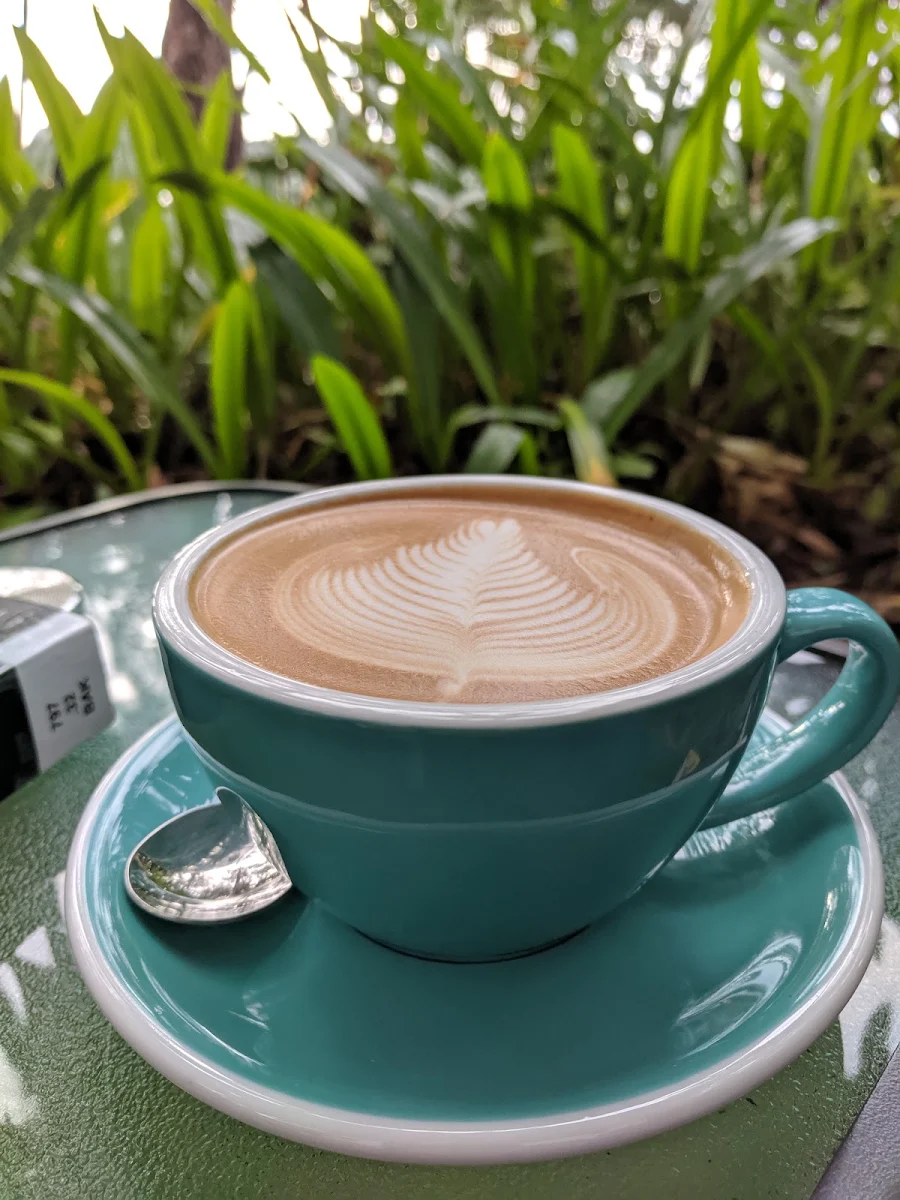Flat White, 27 Degrees Palm Cove