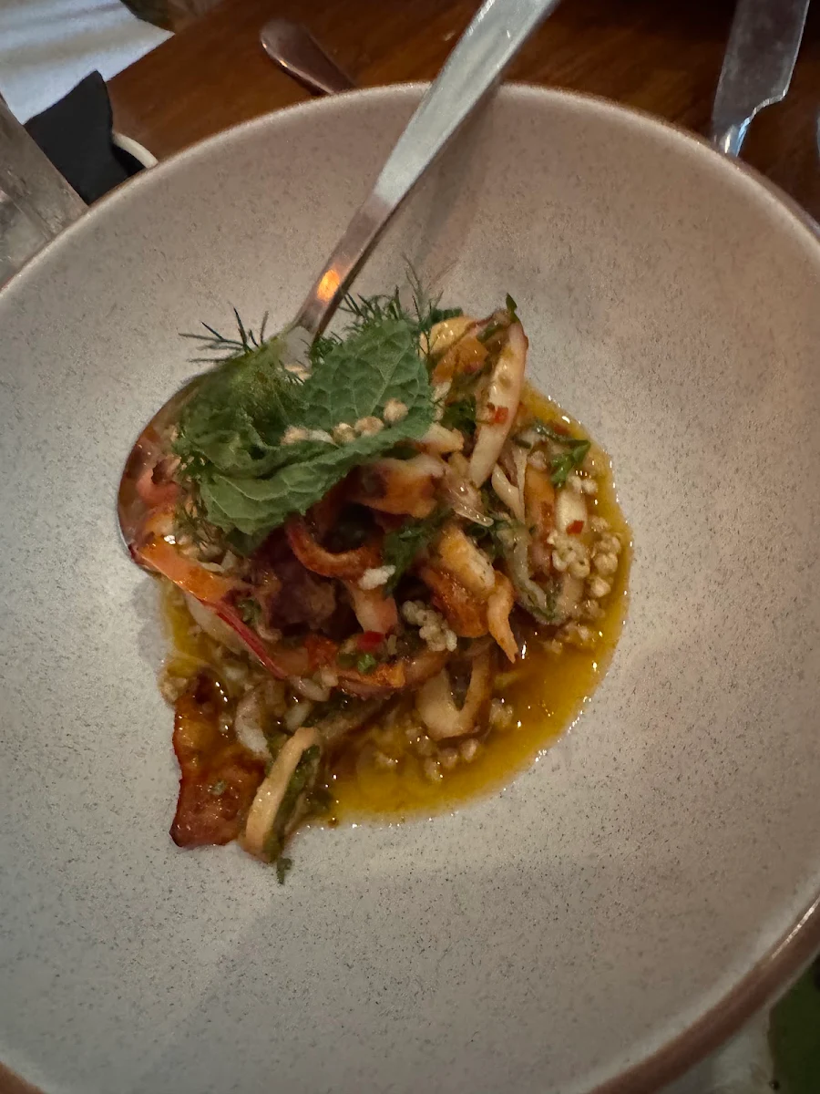 Calamari, Zibros | Italian restaurant Sicilian inspired
