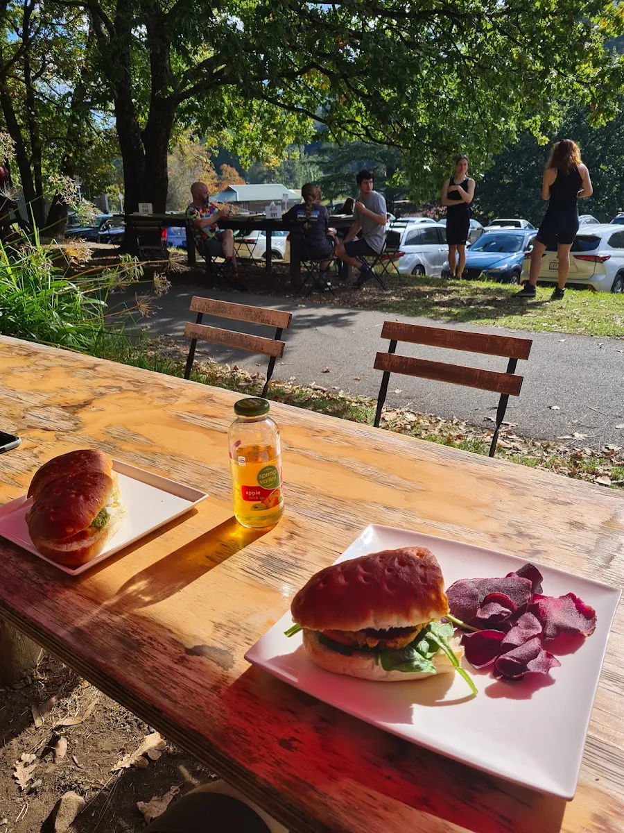 Bread, Cog Bikes & Brew Cafe