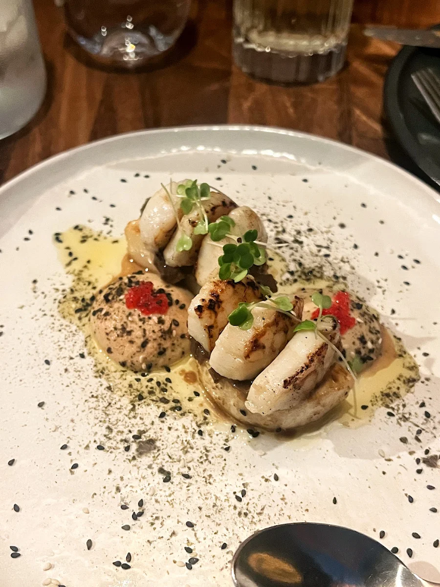 Scallop