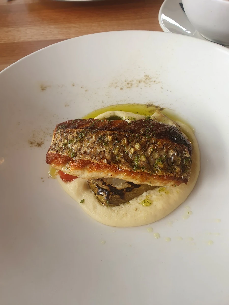 Kingfish, Wise Eagle Bay Restaurant