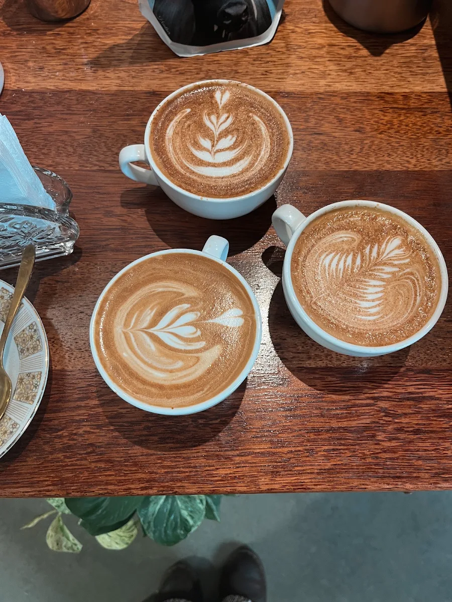Highlights, Bean Dreamin Coffee Co