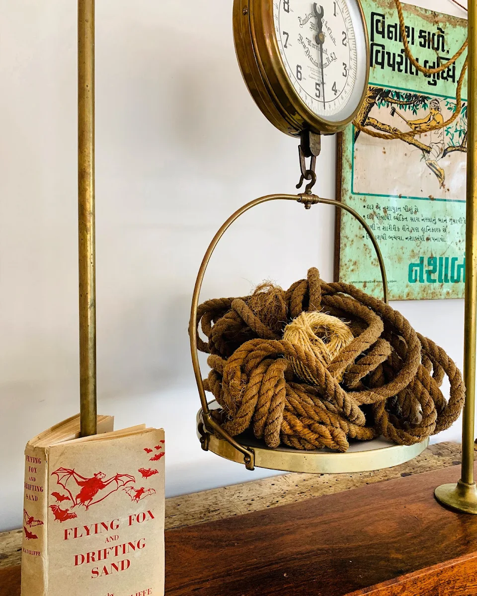 Highlights, DIMBOOLA STORE