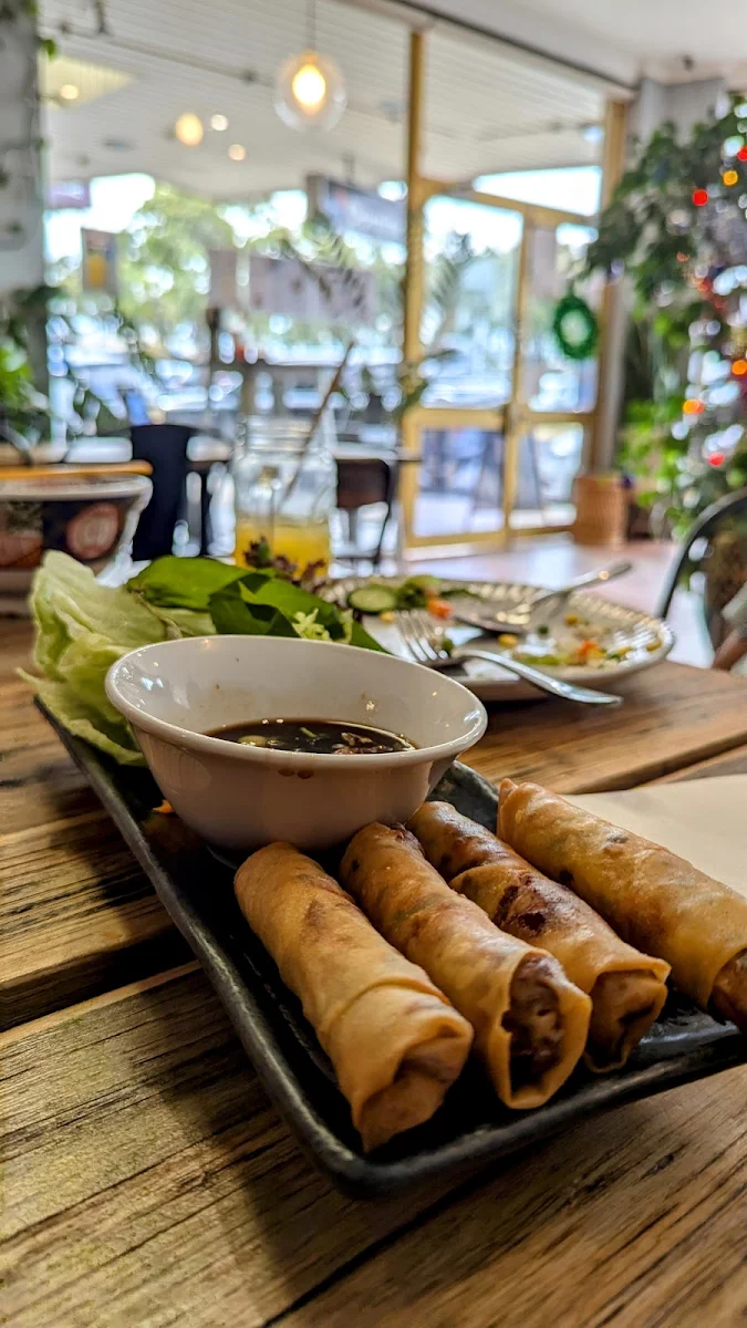 Vegetarian Spring Rolls