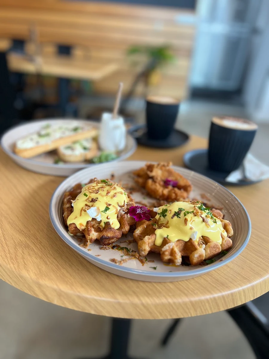 Highlights, Refuge & Co. Coffee Shop (R & Co.)