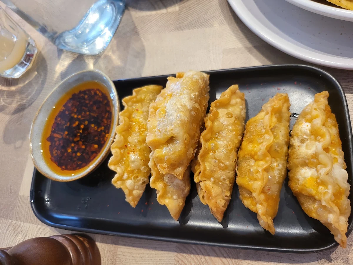 Fried Dumplings