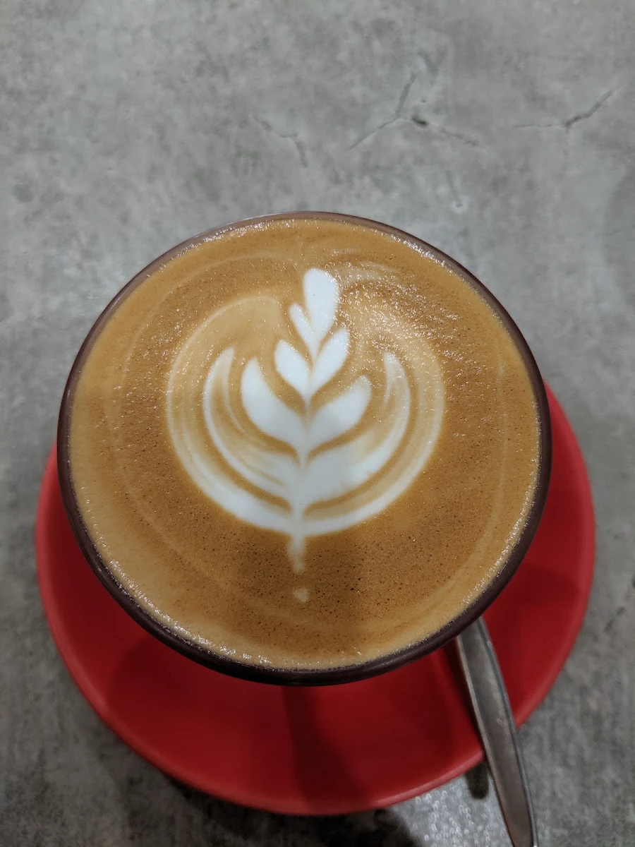 Cappuccino, Bayleaf