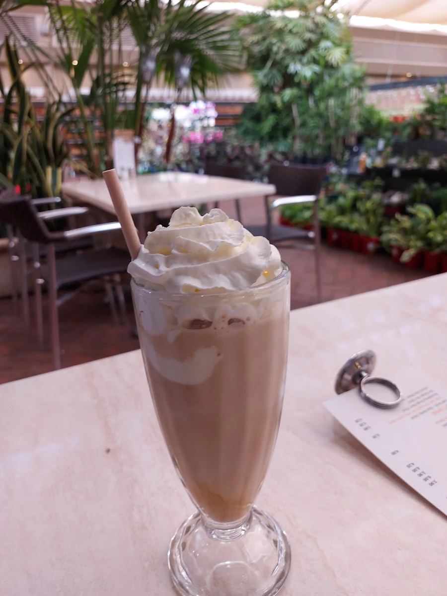 Iced Coffee, Doncho's Cafe