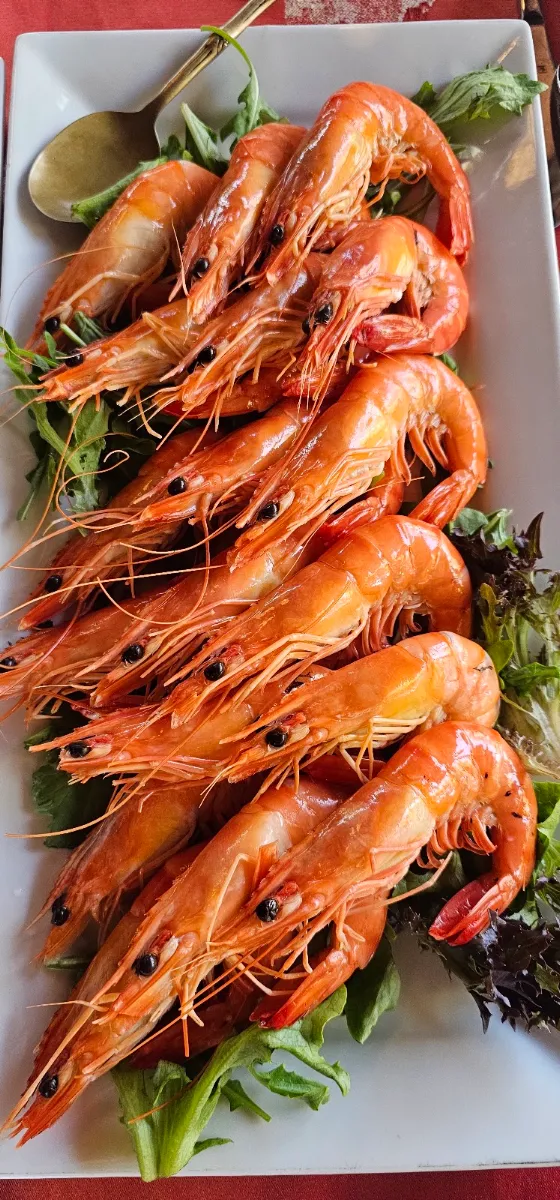 Cooked Prawn